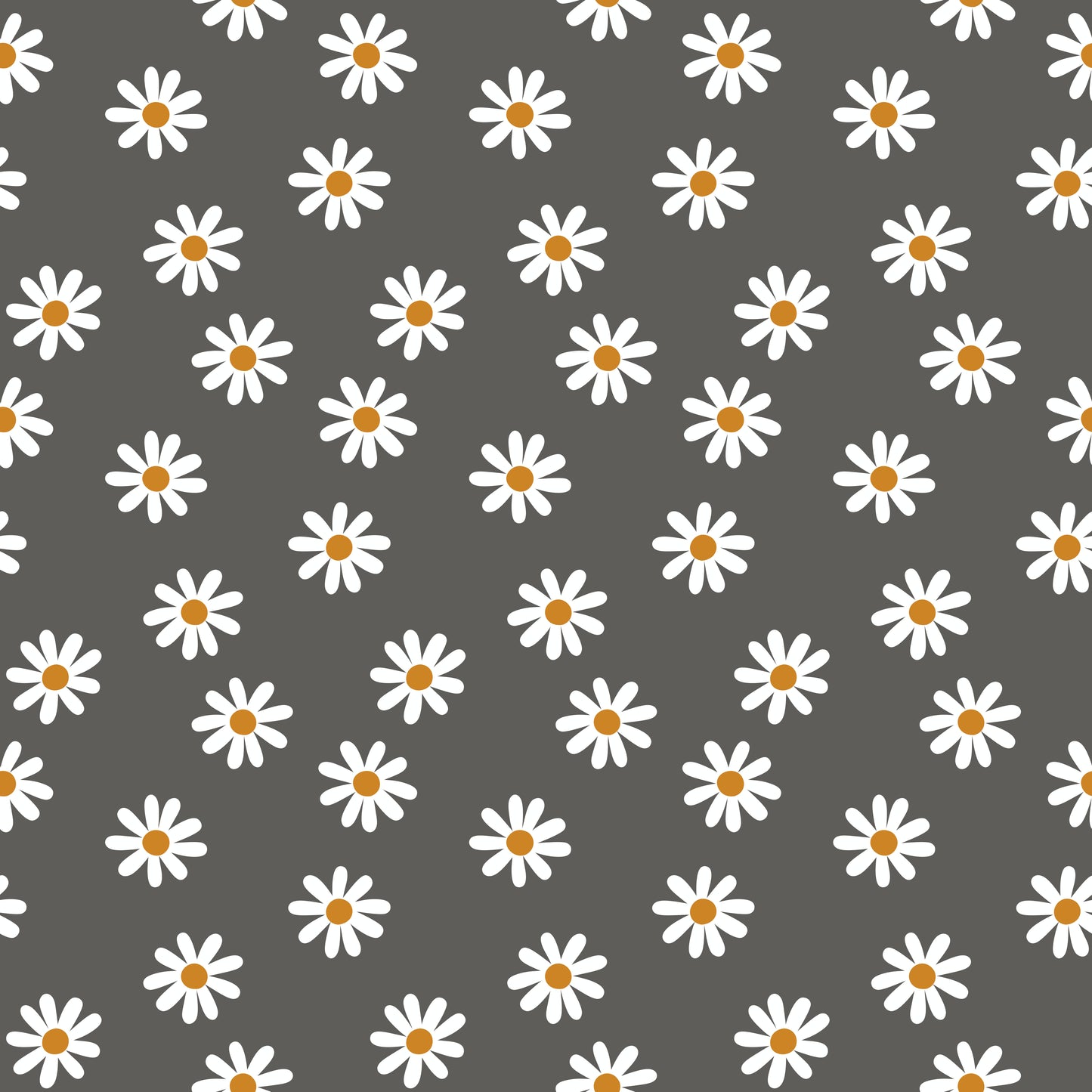 Black and White Daisies