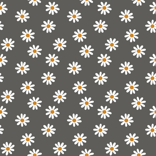 Black and White Daisies