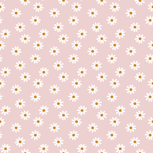 Blush Daisies