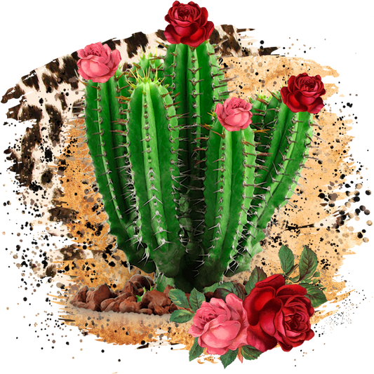 Western Cactus Roses